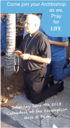 Screen Shot 2018-05-20 at 11.42.23 AM