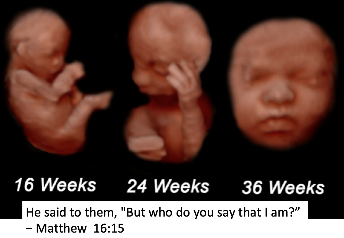 Screen Shot 2018-11-10 at 3.29.13 PM