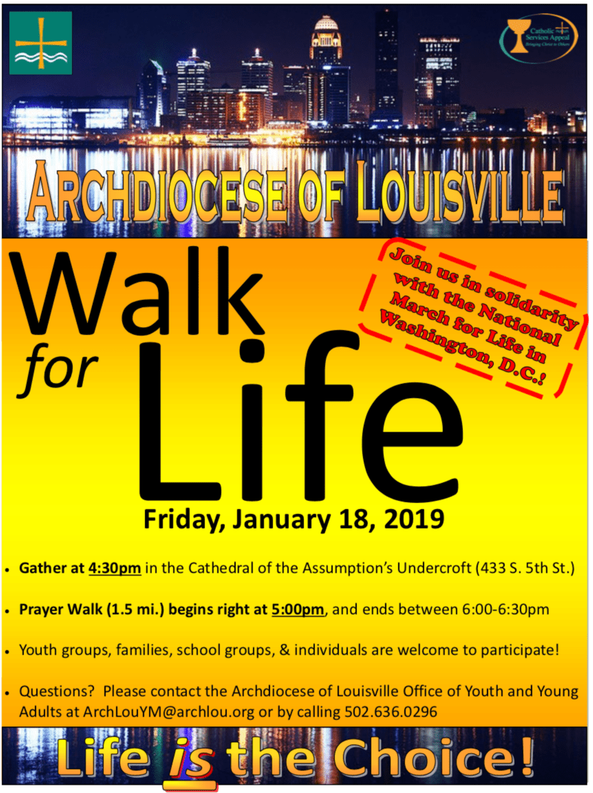 screen shot 2019-01-13 at 7.22.18 am