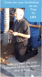 Screen Shot 2019-05-23 at 7.23.10 AM